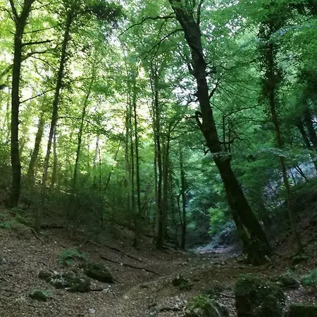 Da Sogno
